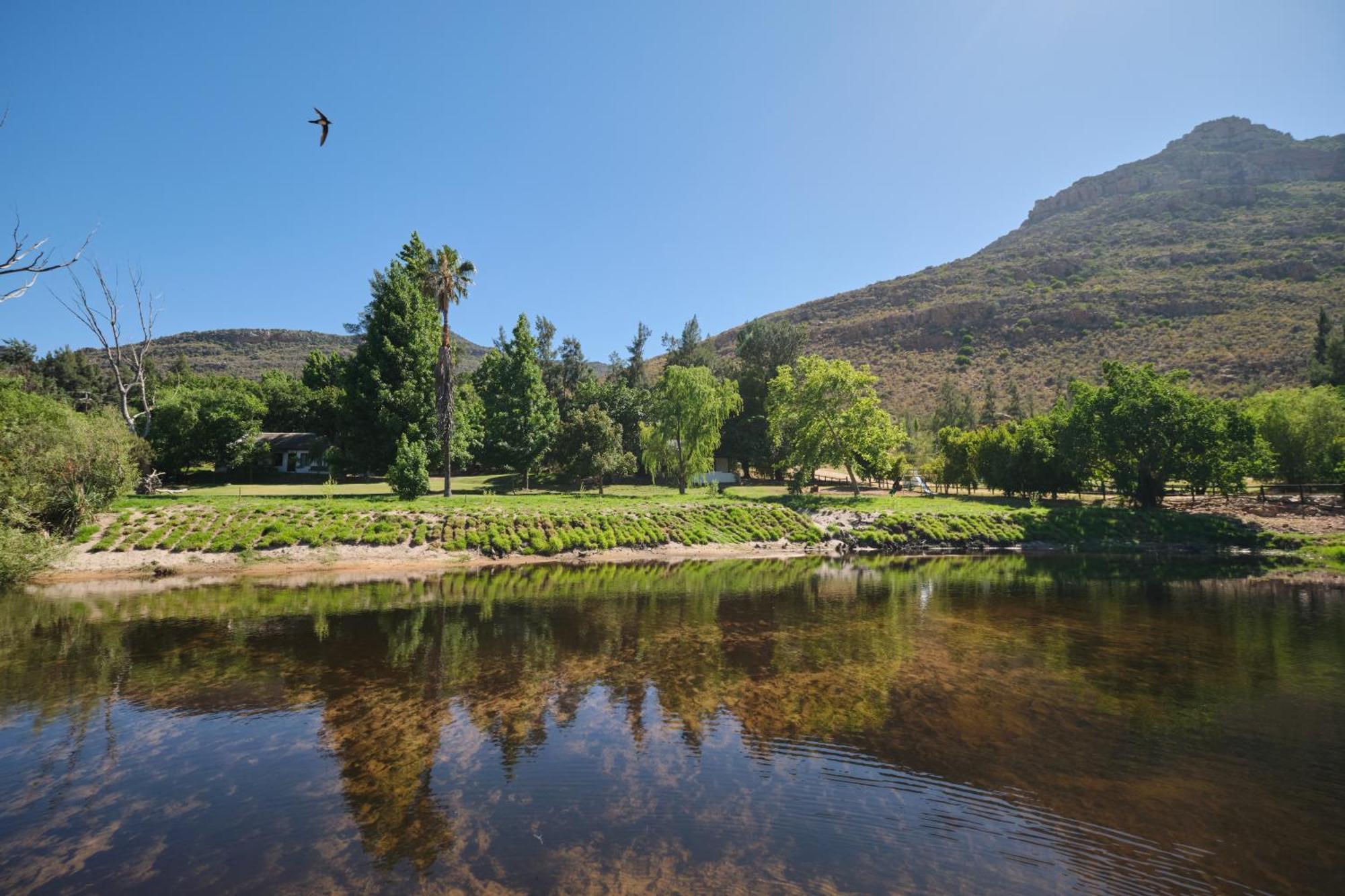 Villa Boskloof Swemgat Clanwilliam Exterior foto